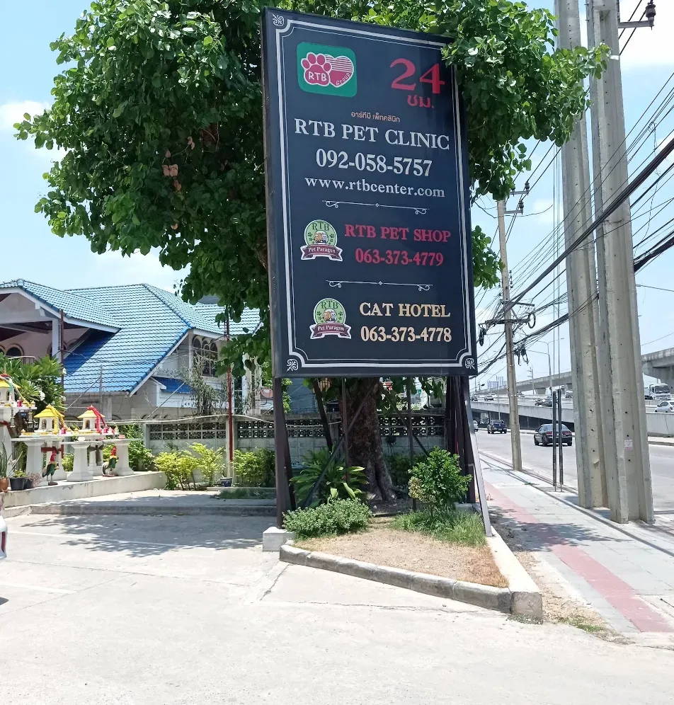RTB pet clinic สาขาพระนั่งเกล้า(คลินิคในเครือรพส.รัตนาธิเบศร์) คลินิก-โรงพยาบาลสัตว์ นนทบุรี 4