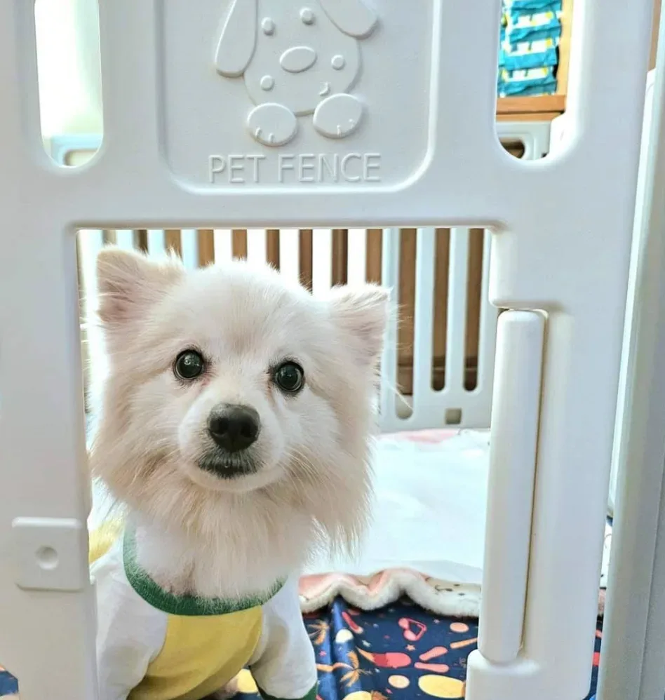 RTB pet clinic สาขาพระนั่งเกล้า(คลินิคในเครือรพส.รัตนาธิเบศร์) คลินิก-โรงพยาบาลสัตว์ นนทบุรี 5