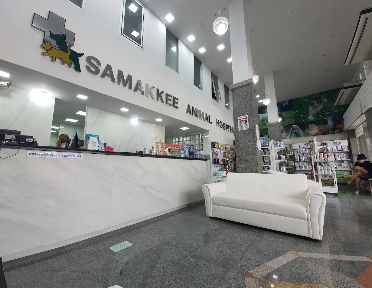 โรงพยาบาลสัตว์ สามัคคี คลินิก-โรงพยาบาลสัตว์ นนทบุรี 6