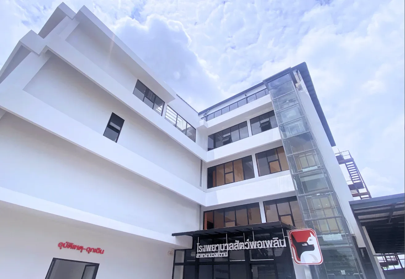 โรงพยาบาลสัตว์พอเพลิน สาขางามวงศ์วาน PawPlearn Animal Hospital คลินิก-โรงพยาบาลสัตว์ นนทบุรี 3