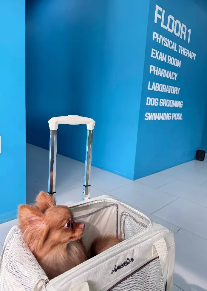 โรงพยาบาลสัตว์พอเพลิน สาขางามวงศ์วาน PawPlearn Animal Hospital คลินิก-โรงพยาบาลสัตว์ นนทบุรี 4