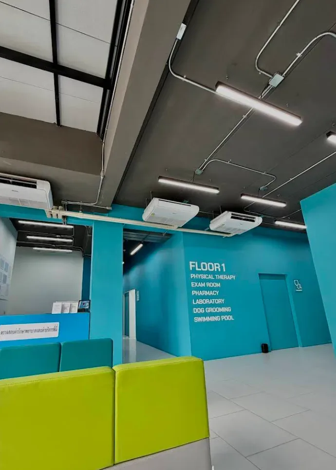 โรงพยาบาลสัตว์พอเพลิน สาขางามวงศ์วาน PawPlearn Animal Hospital คลินิก-โรงพยาบาลสัตว์ นนทบุรี 5