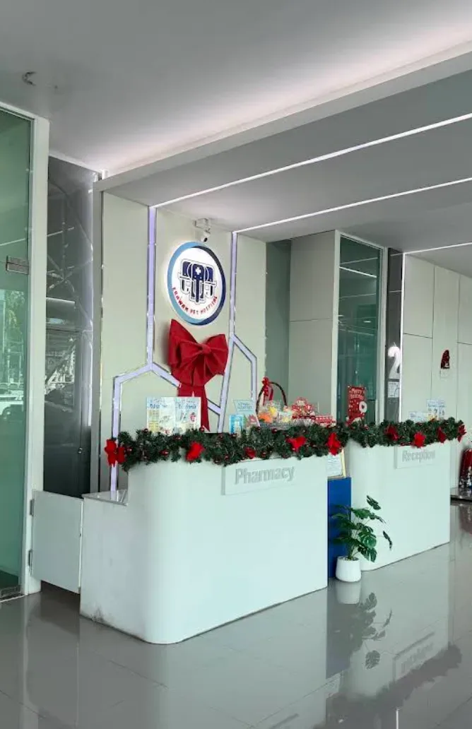 โรงพยาบาลสัตว์เอราวัณ ศูนย์ติวานนท์ คลินิก-โรงพยาบาลสัตว์ นนทบุรี 6