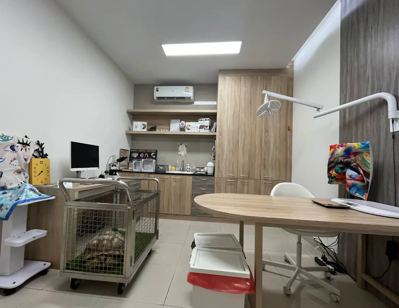 โรงพยาบาลสัตว์พนาลัย คลินิก-โรงพยาบาลสัตว์ นนทบุรี 5