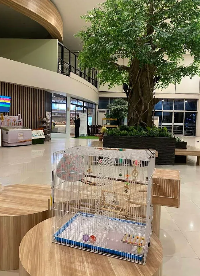 โรงพยาบาลสัตว์พนาลัย คลินิก-โรงพยาบาลสัตว์ นนทบุรี 6