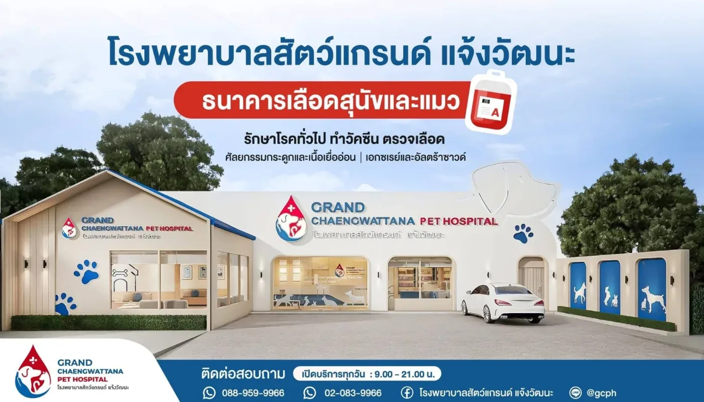 โรงพยาบาลสัตว์แกรนด์ แจ้งวัฒนะ