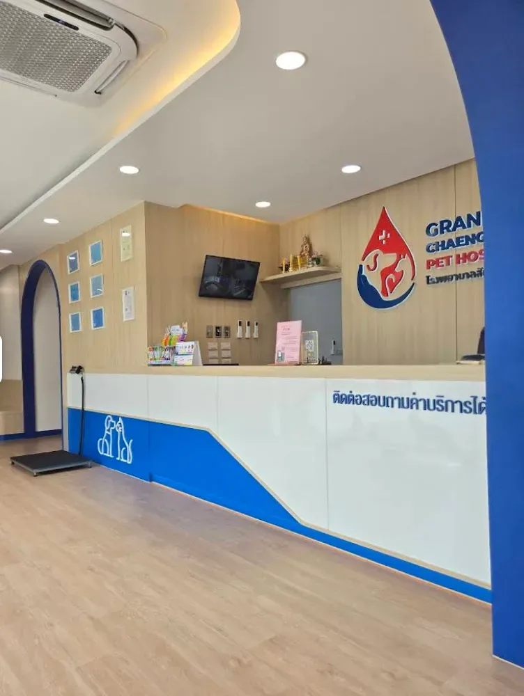 โรงพยาบาลสัตว์แกรนด์ แจ้งวัฒนะ คลินิก-โรงพยาบาลสัตว์ นนทบุรี 3