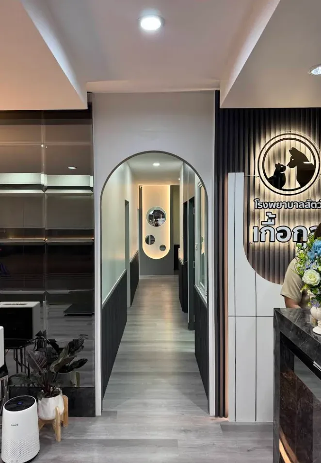 โรงพยาบาลสัตว์เกื้อกูล คลินิก-โรงพยาบาลสัตว์ นนทบุรี 3