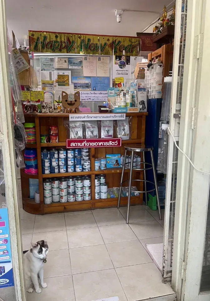 คลินิกหมออุ๋มรักษาสัตว์ คลินิก-โรงพยาบาลสัตว์ นนทบุรี 5