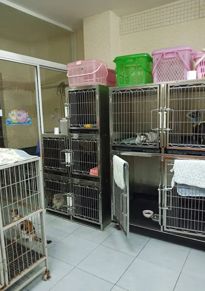 คลินิกรักษาสัตว์ อุ่นไอรัก คลินิก-โรงพยาบาลสัตว์ นนทบุรี 5
