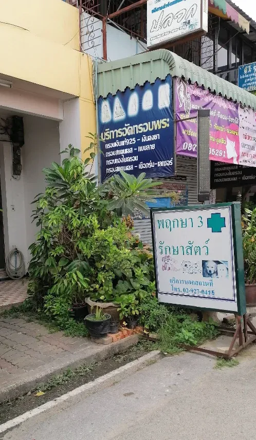 พฤกษา 3 รักษาสัตว์ (ม.พฤกษา 3) คลินิก-โรงพยาบาลสัตว์ นนทบุรี 2