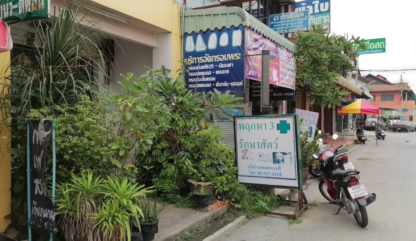 พฤกษา 3 รักษาสัตว์ (ม.พฤกษา 3) คลินิก-โรงพยาบาลสัตว์ นนทบุรี