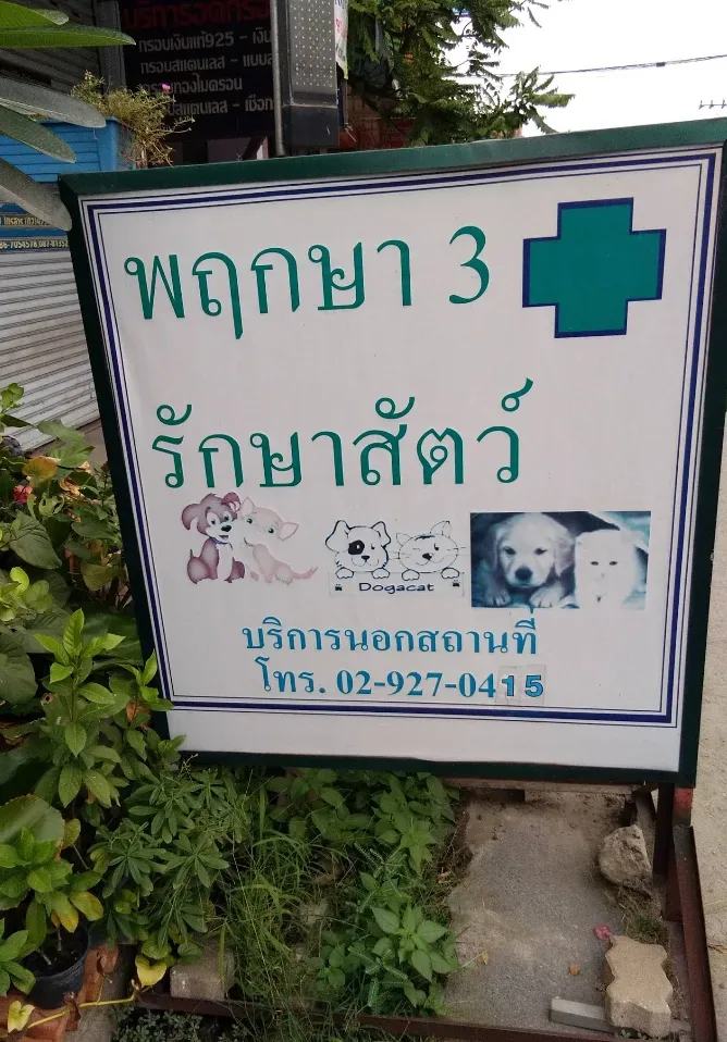 พฤกษา 3 รักษาสัตว์ (ม.พฤกษา 3) คลินิก-โรงพยาบาลสัตว์ นนทบุรี 4