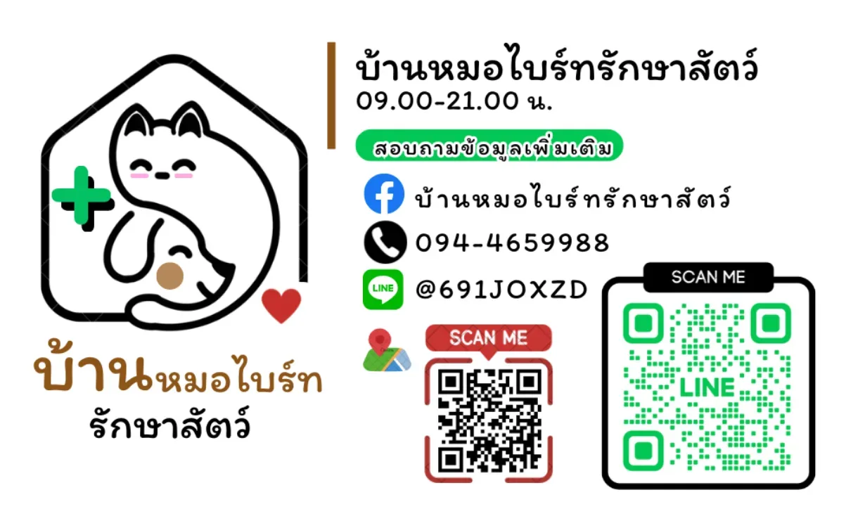บ้านหมอไบร์ทรักษาสัตว์ คลินิก-โรงพยาบาลสัตว์ นนทบุรี