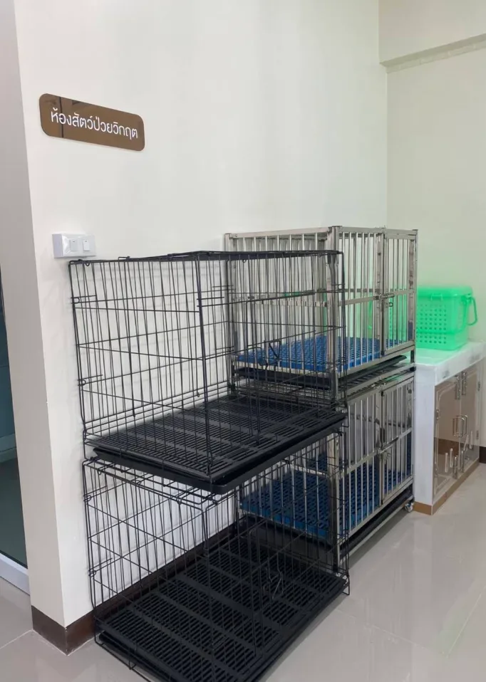 บ้านหมอไบร์ทรักษาสัตว์ คลินิก-โรงพยาบาลสัตว์ นนทบุรี 5