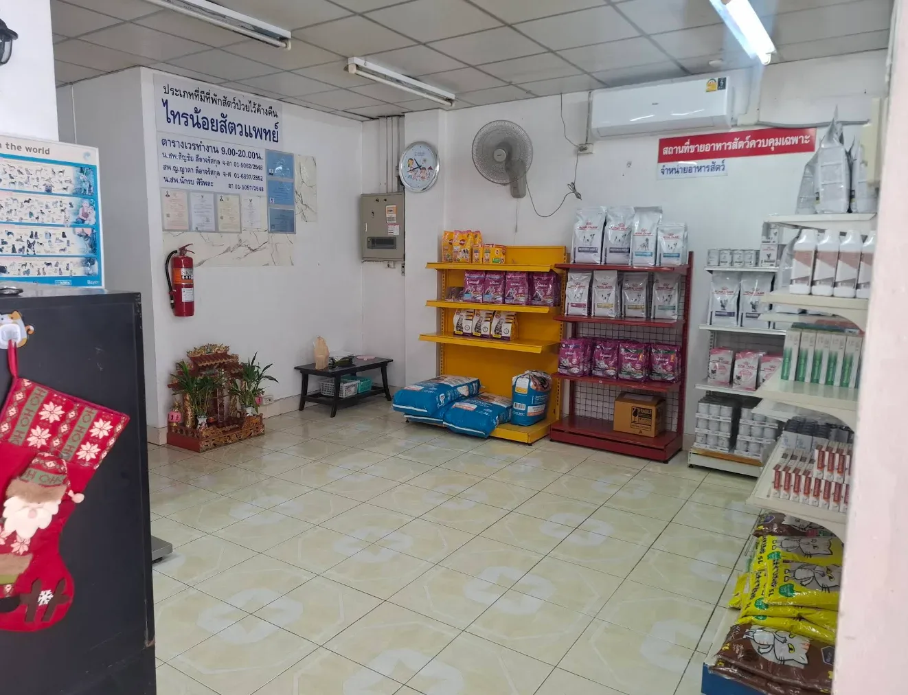 ไทรน้อยสัตวแพทย์ คลินิก-โรงพยาบาลสัตว์ นนทบุรี 3