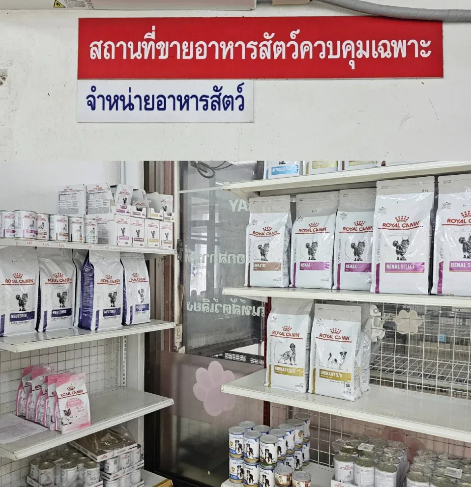 ไทรน้อยสัตวแพทย์ คลินิก-โรงพยาบาลสัตว์ นนทบุรี 4
