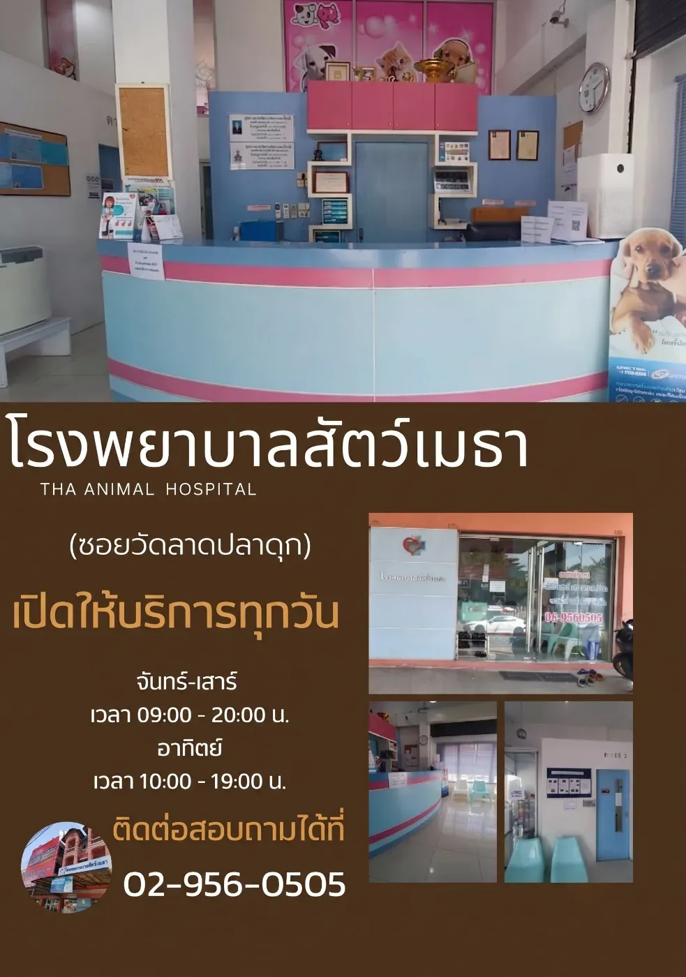 โรงพยาบาลสัตว์เมธา คลินิก-โรงพยาบาลสัตว์ นนทบุรี