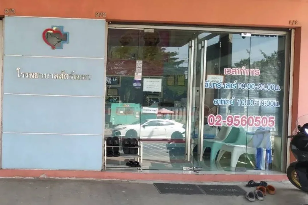โรงพยาบาลสัตว์เมธา คลินิก-โรงพยาบาลสัตว์ นนทบุรี 3