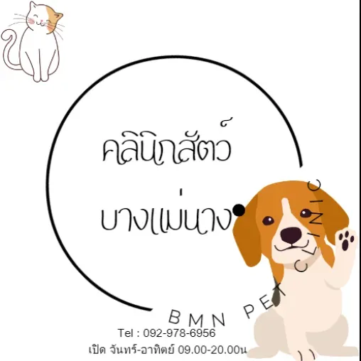 คลินิกสัตว์บางแม่นาง คลินิก-โรงพยาบาลสัตว์ นนทบุรี 5