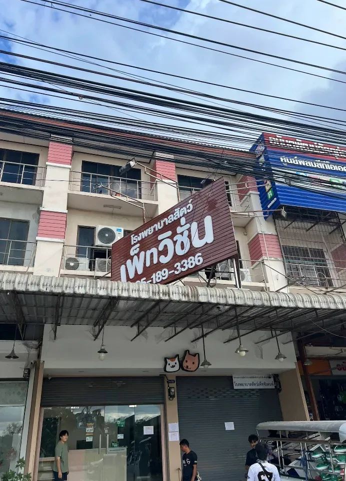 โรงพยาบาลสัตว์เพ็ทวิชั่น (Pet Vision Hospital) คลินิก-โรงพยาบาลสัตว์ นนทบุรี