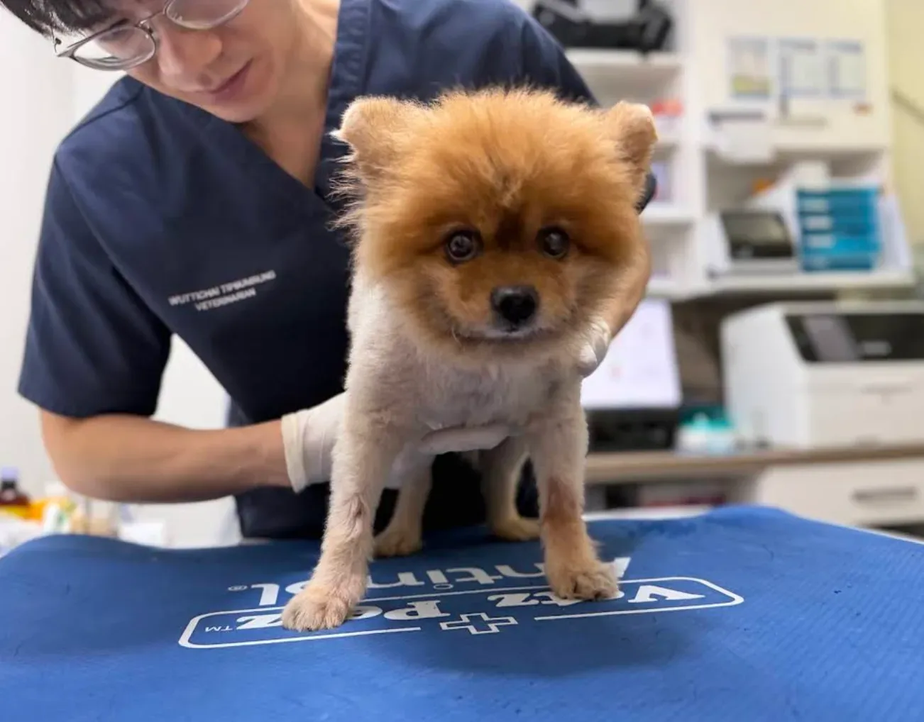 โรงพยาบาลสัตว์ชัดเจน บางบัวทอง นนทบุรี I ChudJen Animal Hospital คลินิก-โรงพยาบาลสัตว์ นนทบุรี 3