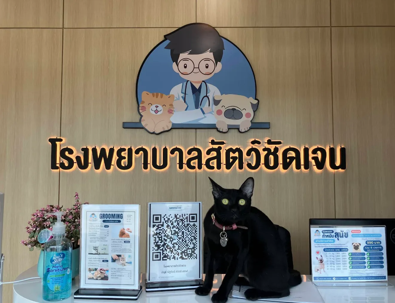 โรงพยาบาลสัตว์ชัดเจน บางบัวทอง นนทบุรี I ChudJen Animal Hospital คลินิก-โรงพยาบาลสัตว์ นนทบุรี 2