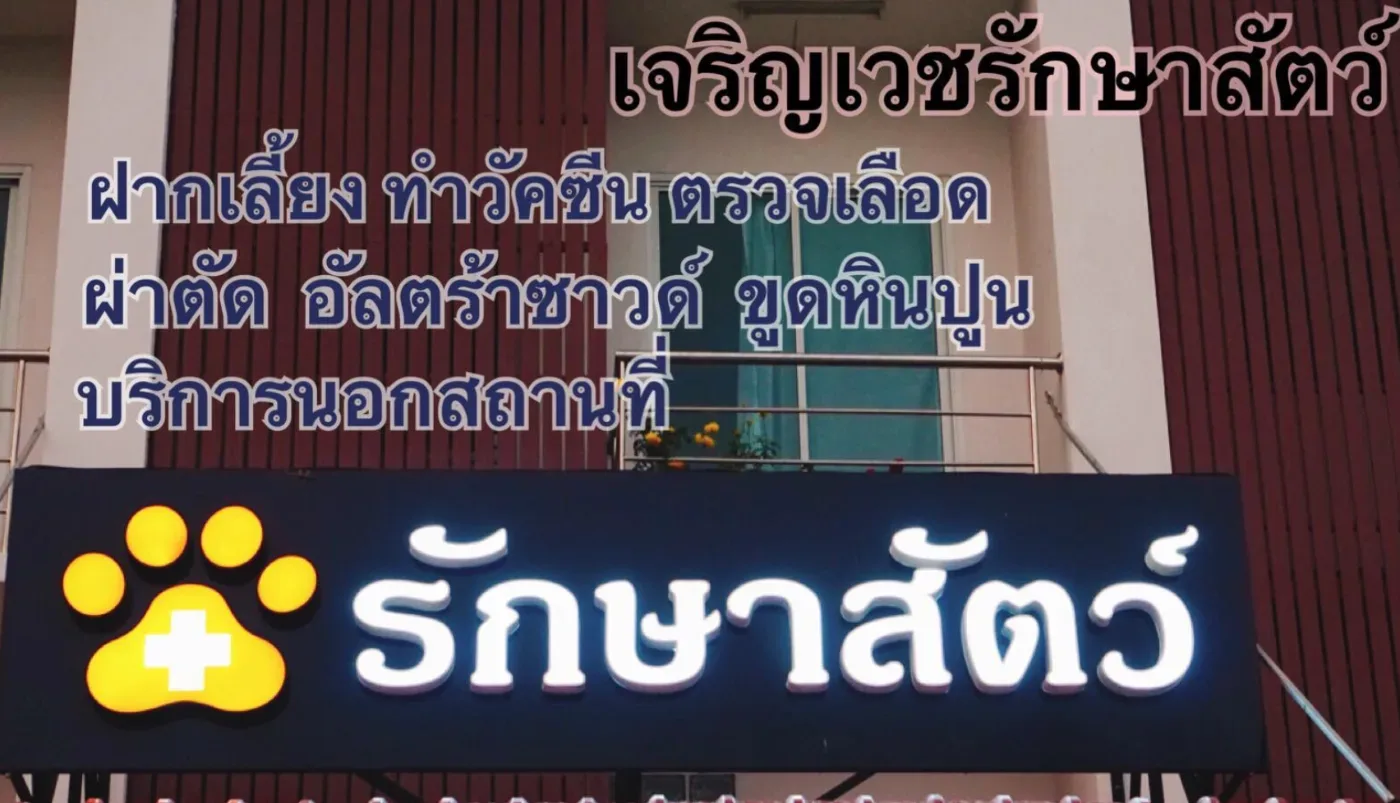 เจริญเวชคลินิก รักษาสัตว์ คลินิก-โรงพยาบาลสัตว์ นนทบุรี