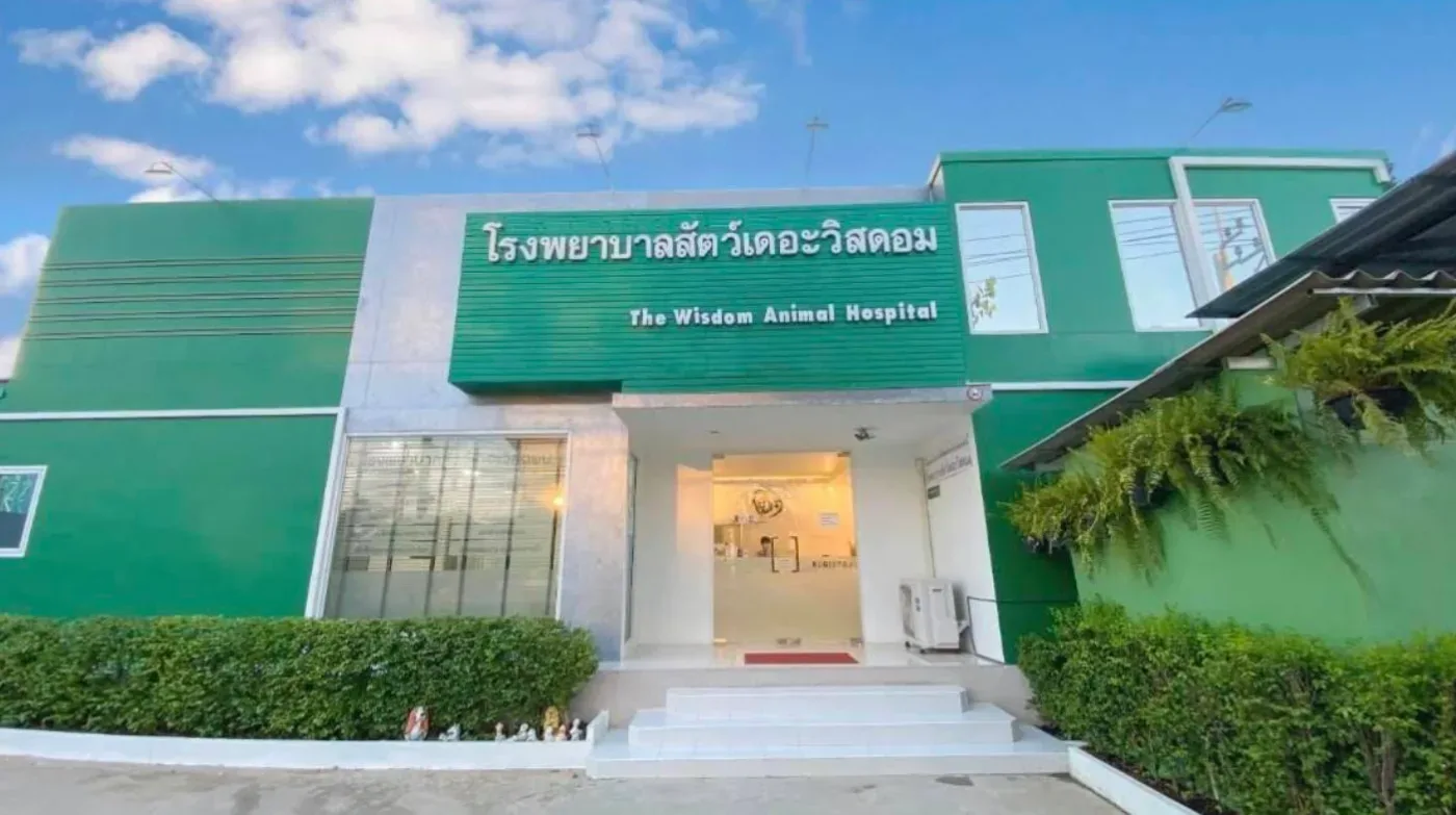 โรงพยาบาลสัตว์เดอะวิสดอม นนทบุรี : The Wisdom Animal Hospital คลินิก-โรงพยาบาลสัตว์ นนทบุรี