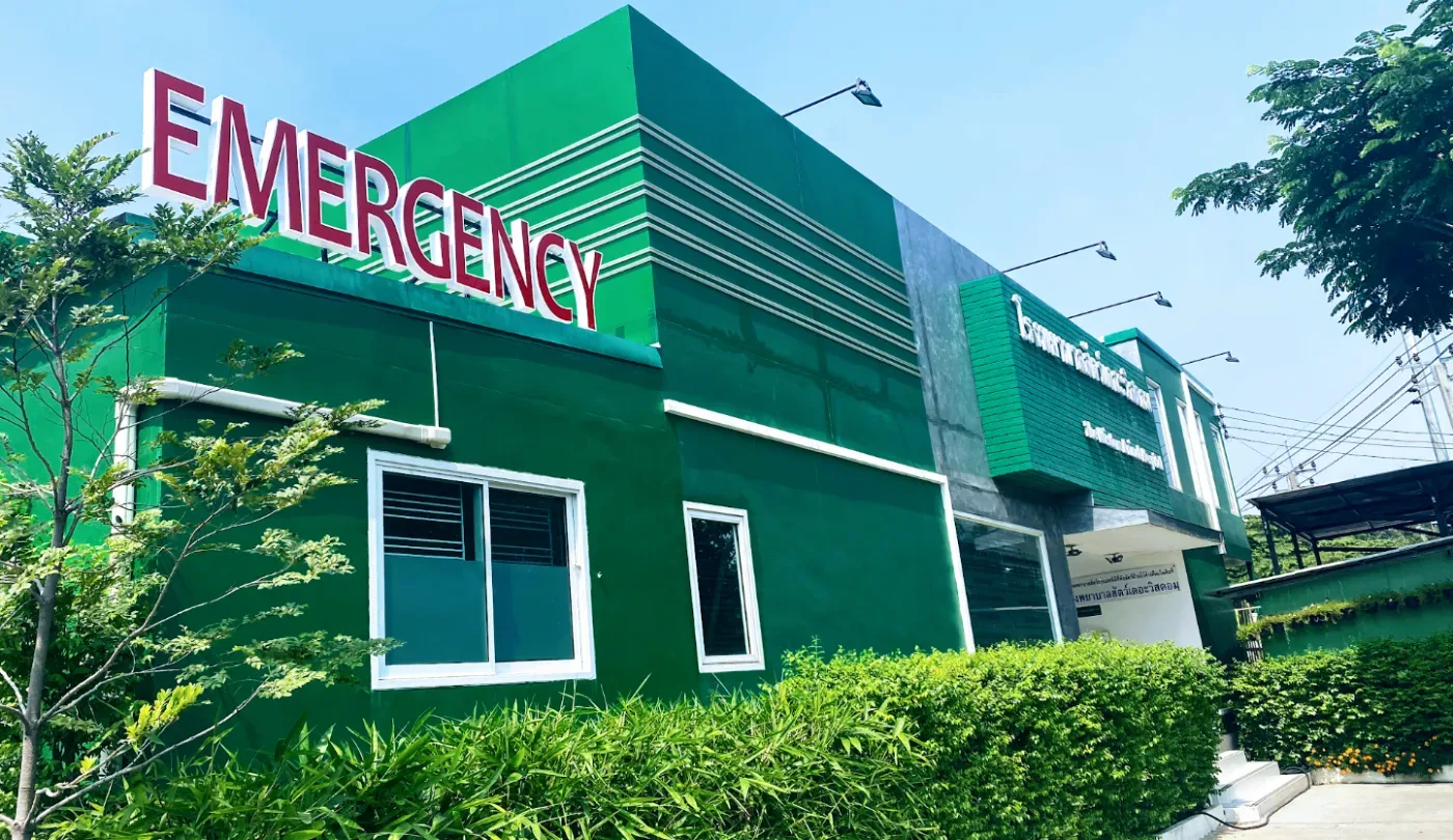 โรงพยาบาลสัตว์เดอะวิสดอม นนทบุรี : The Wisdom Animal Hospital คลินิก-โรงพยาบาลสัตว์ นนทบุรี 2