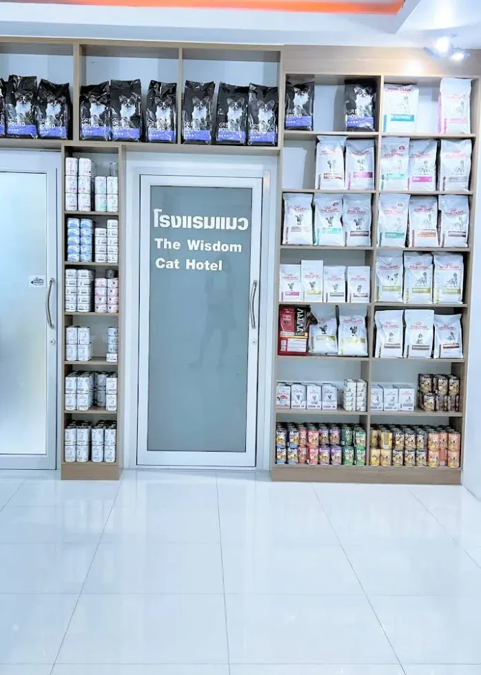โรงพยาบาลสัตว์เดอะวิสดอม นนทบุรี : The Wisdom Animal Hospital คลินิก-โรงพยาบาลสัตว์ นนทบุรี 5