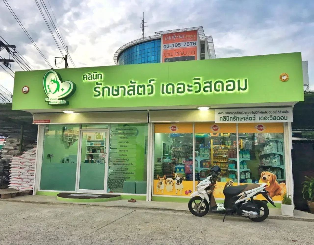 โรงพยาบาลสัตว์เดอะวิสดอม นนทบุรี : The Wisdom Animal Hospital คลินิก-โรงพยาบาลสัตว์ นนทบุรี 6