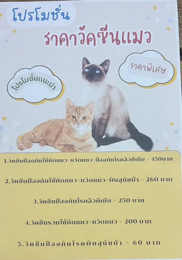 คลินิกรักษาสัตว์ หมอหนึ่ง คลินิก-โรงพยาบาลสัตว์ นนทบุรี