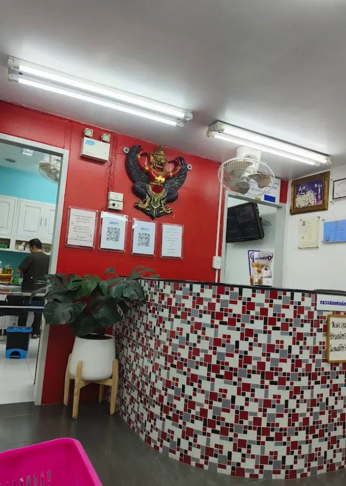 คลินิกรักษาสัตว์ หมอหนึ่ง คลินิก-โรงพยาบาลสัตว์ นนทบุรี 6