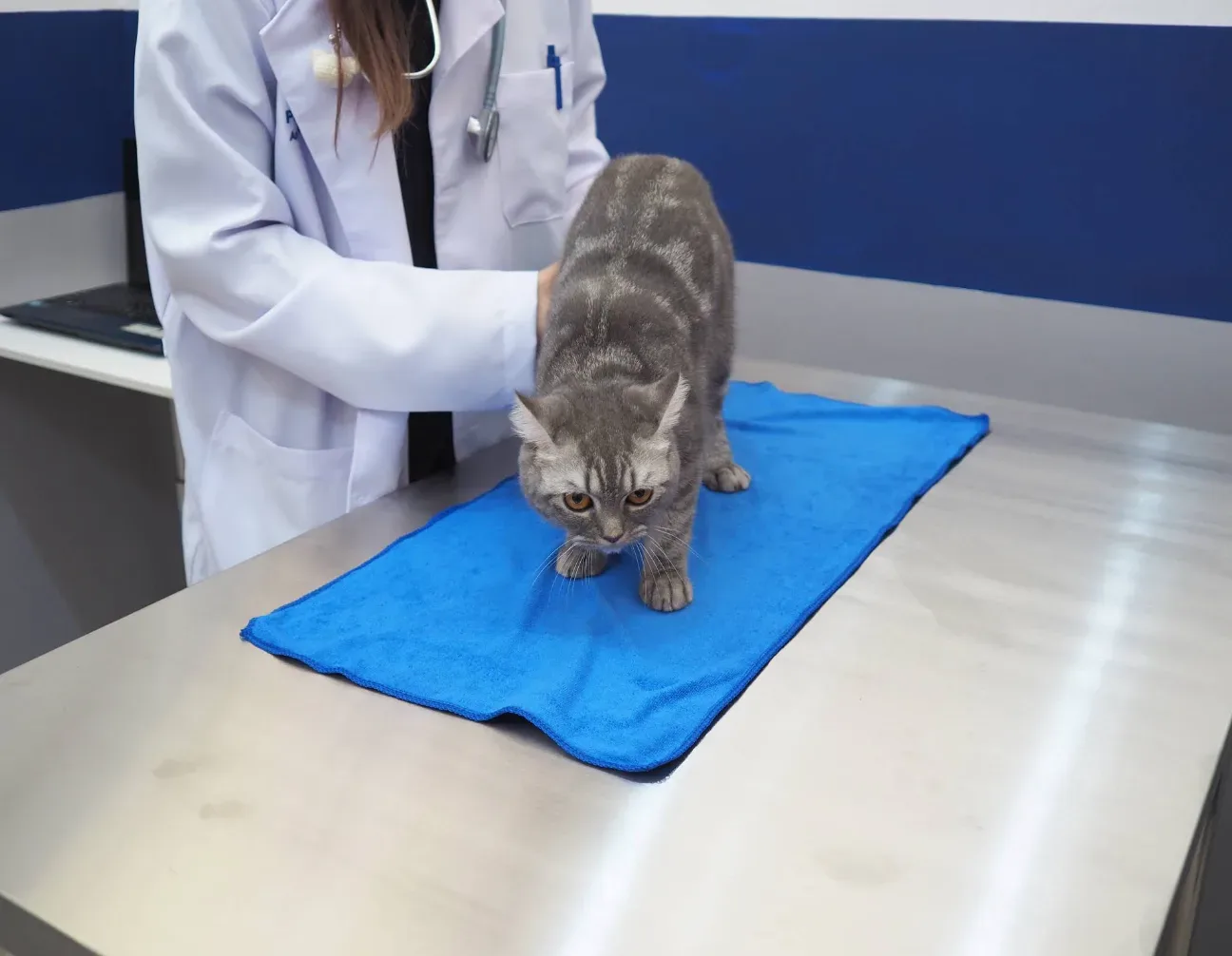 โรงพยาบาล​สัตว์​เพ็ทไดอารี่ -​ Pet Diary animal hospital คลินิก-โรงพยาบาลสัตว์ นนทบุรี 6