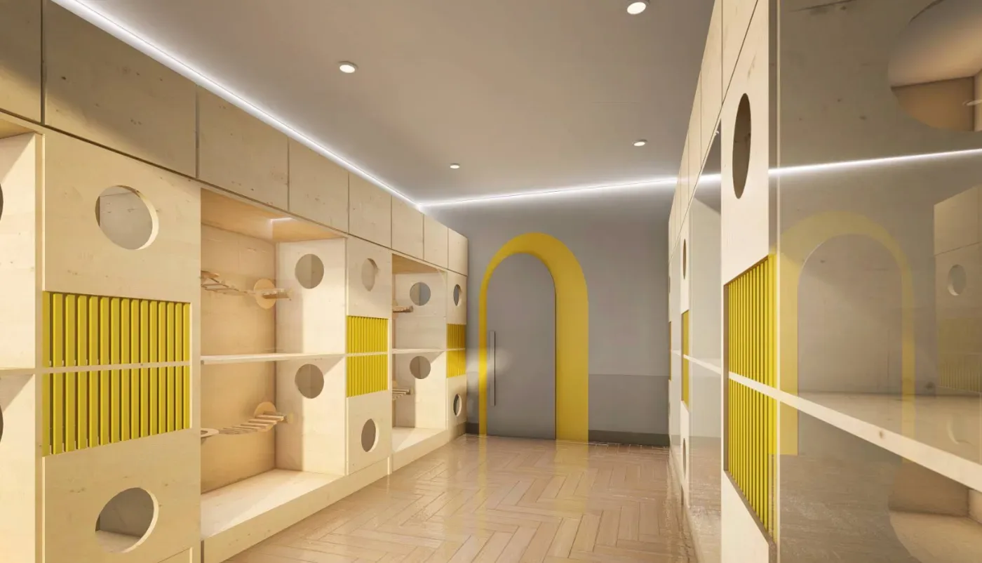 โรงพยาบาลสัตว์อะพอลโล Apollo Animal Hospital คลินิก-โรงพยาบาลสัตว์ นนทบุรี