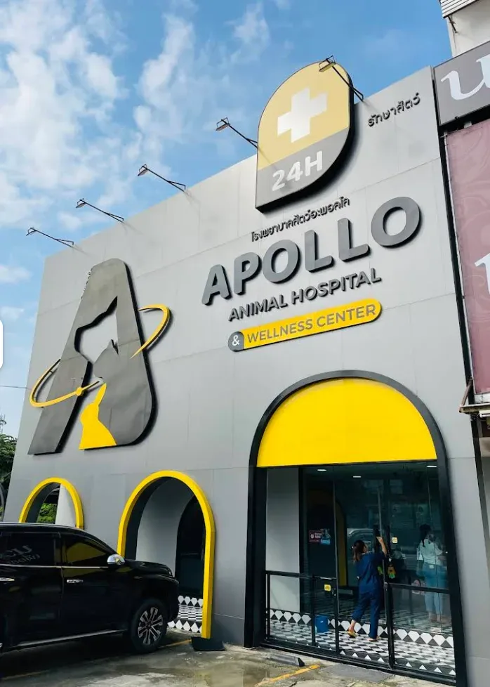 โรงพยาบาลสัตว์อะพอลโล Apollo Animal Hospital คลินิก-โรงพยาบาลสัตว์ นนทบุรี 3