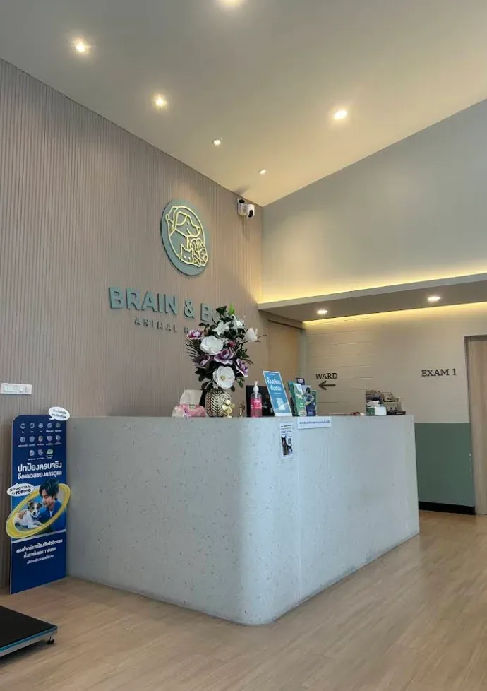 โรงพยาบาลสัตว์เบรนแอนด์โบน Brain and Bone Animal Hospital คลินิก-โรงพยาบาลสัตว์ นนทบุรี