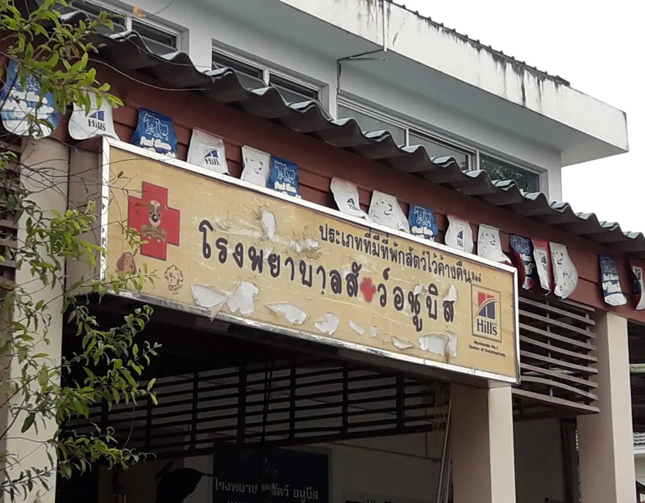 โรงพยาบาลสัตว์อนูบีส คลินิก-โรงพยาบาลสัตว์ นนทบุรี 2