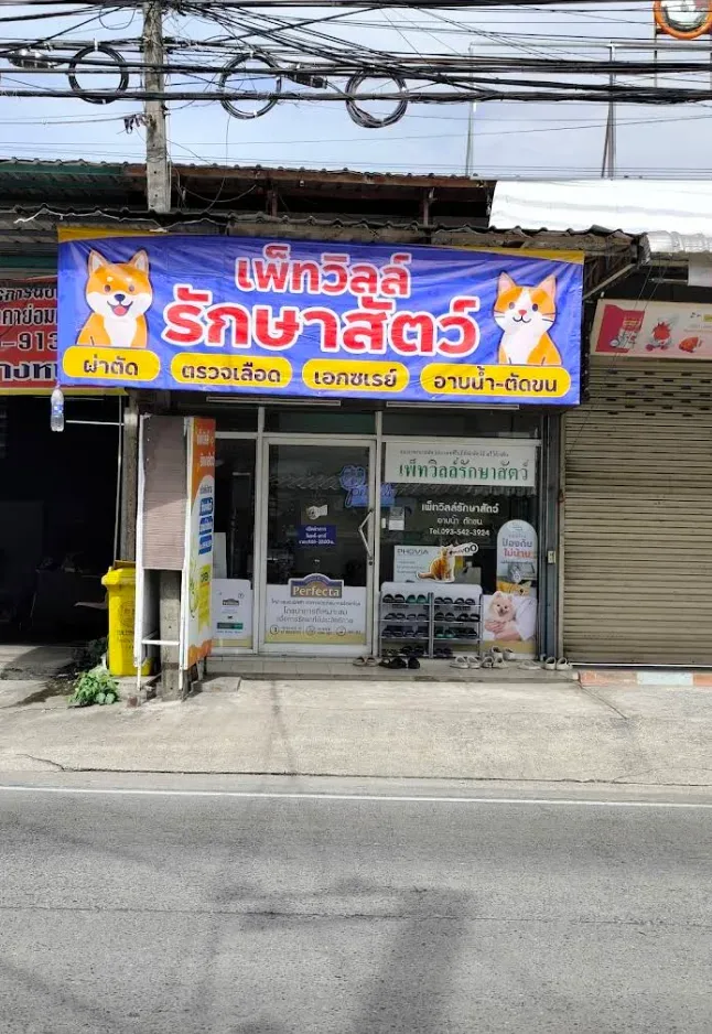 PetVille Veterinary Clinic คลินิก-โรงพยาบาลสัตว์ นนทบุรี