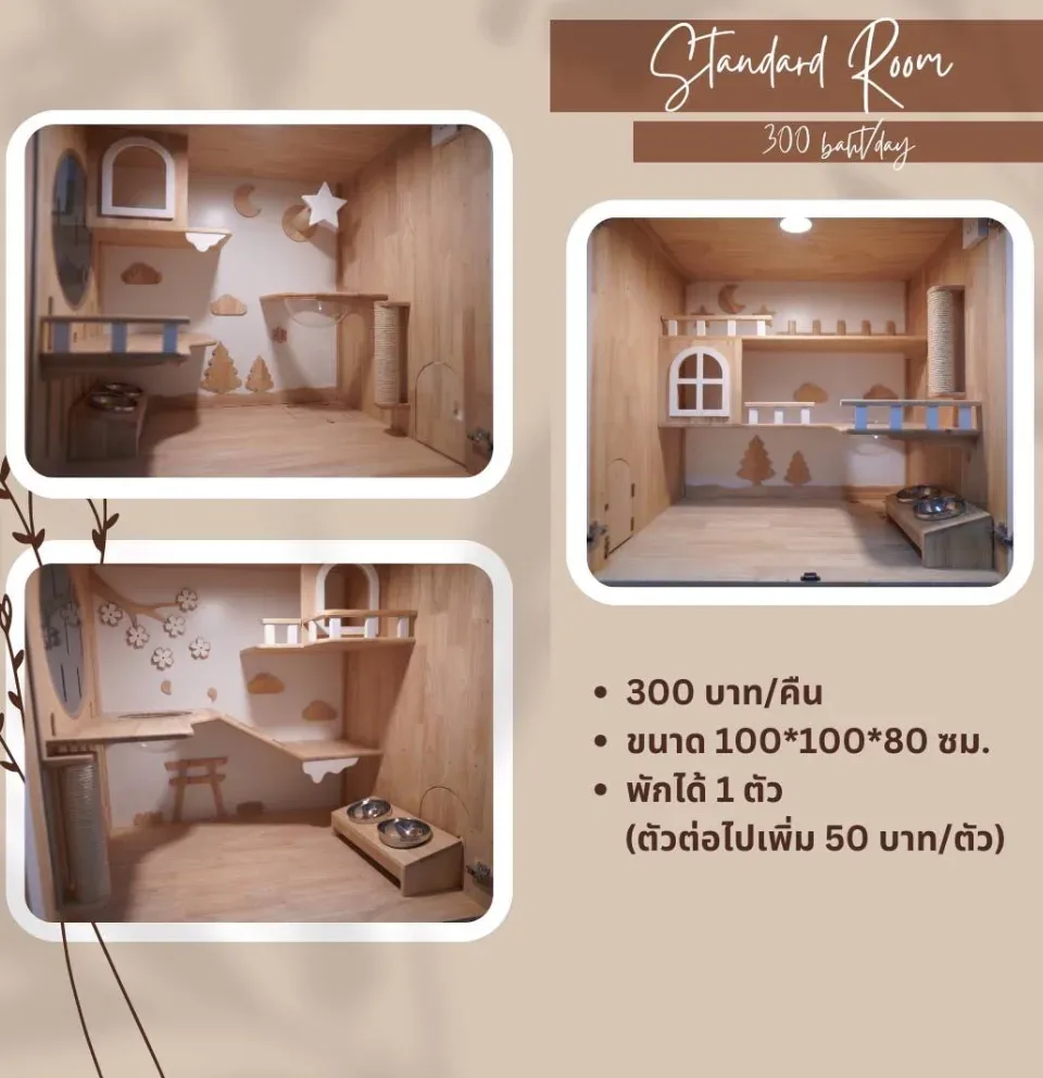โรงพยาบาลสัตว์เคนโกะ คลินิก-โรงพยาบาลสัตว์ นนทบุรี 6