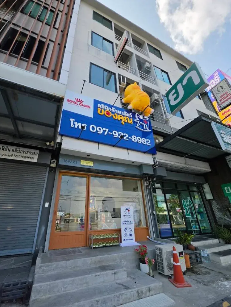 คลินิกรักษาสัตว์ของคุณ: Your Pet Clinic คลินิก-โรงพยาบาลสัตว์ นนทบุรี