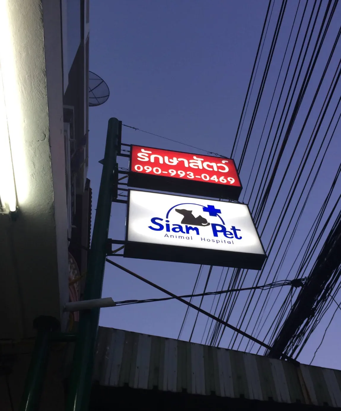 โรงพยาบาลสัตว์สยามเพ็ท คลินิก-โรงพยาบาลสัตว์ นนทบุรี 5