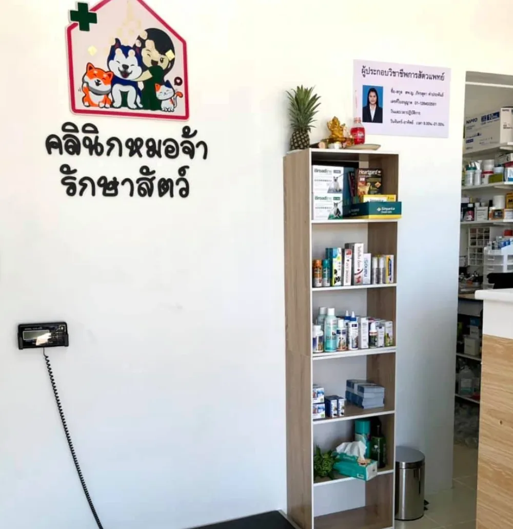 คลินิกหมอจ้ารักษาสัตว์ คลินิก-โรงพยาบาลสัตว์ นนทบุรี 5