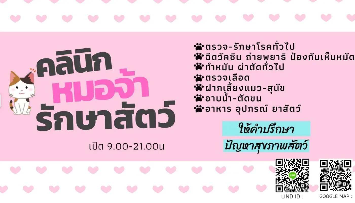 คลินิกหมอจ้ารักษาสัตว์ คลินิก-โรงพยาบาลสัตว์ นนทบุรี 6