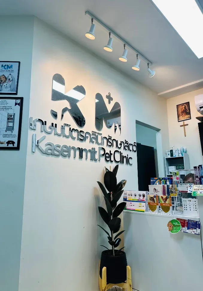 เกษมมิตร คลินิกรักษาสัตว์ คลินิก-โรงพยาบาลสัตว์ นนทบุรี