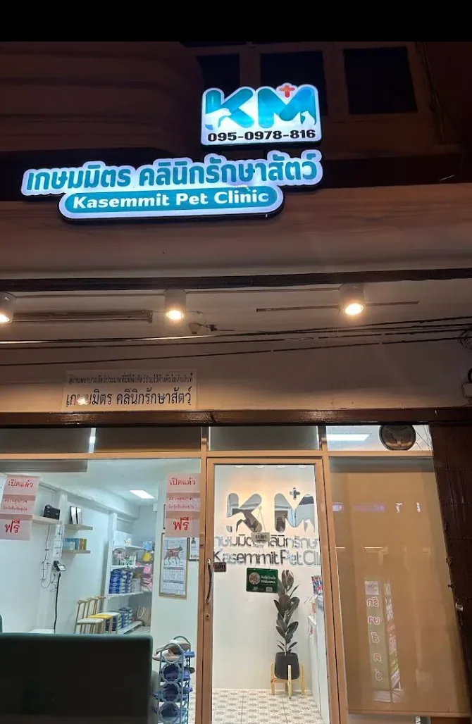 เกษมมิตร คลินิกรักษาสัตว์ คลินิก-โรงพยาบาลสัตว์ นนทบุรี 2