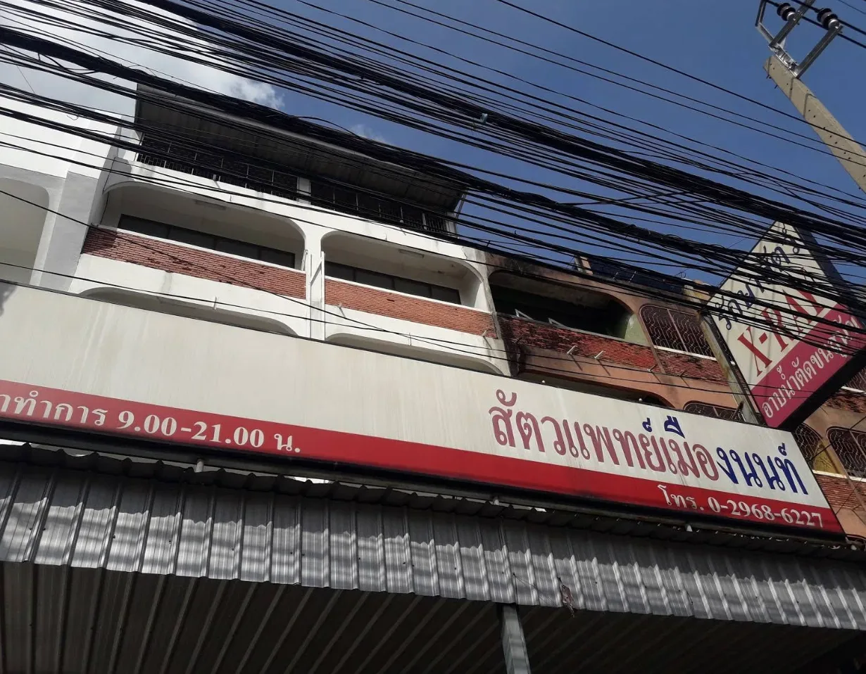 สัตวแพทย์เมืองนนท์ คลินิก-โรงพยาบาลสัตว์ นนทบุรี 5