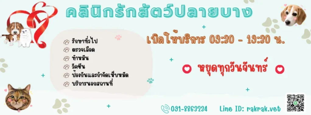 คลินิกรักสัตว์ปลายบาง คลินิก-โรงพยาบาลสัตว์ นนทบุรี 3