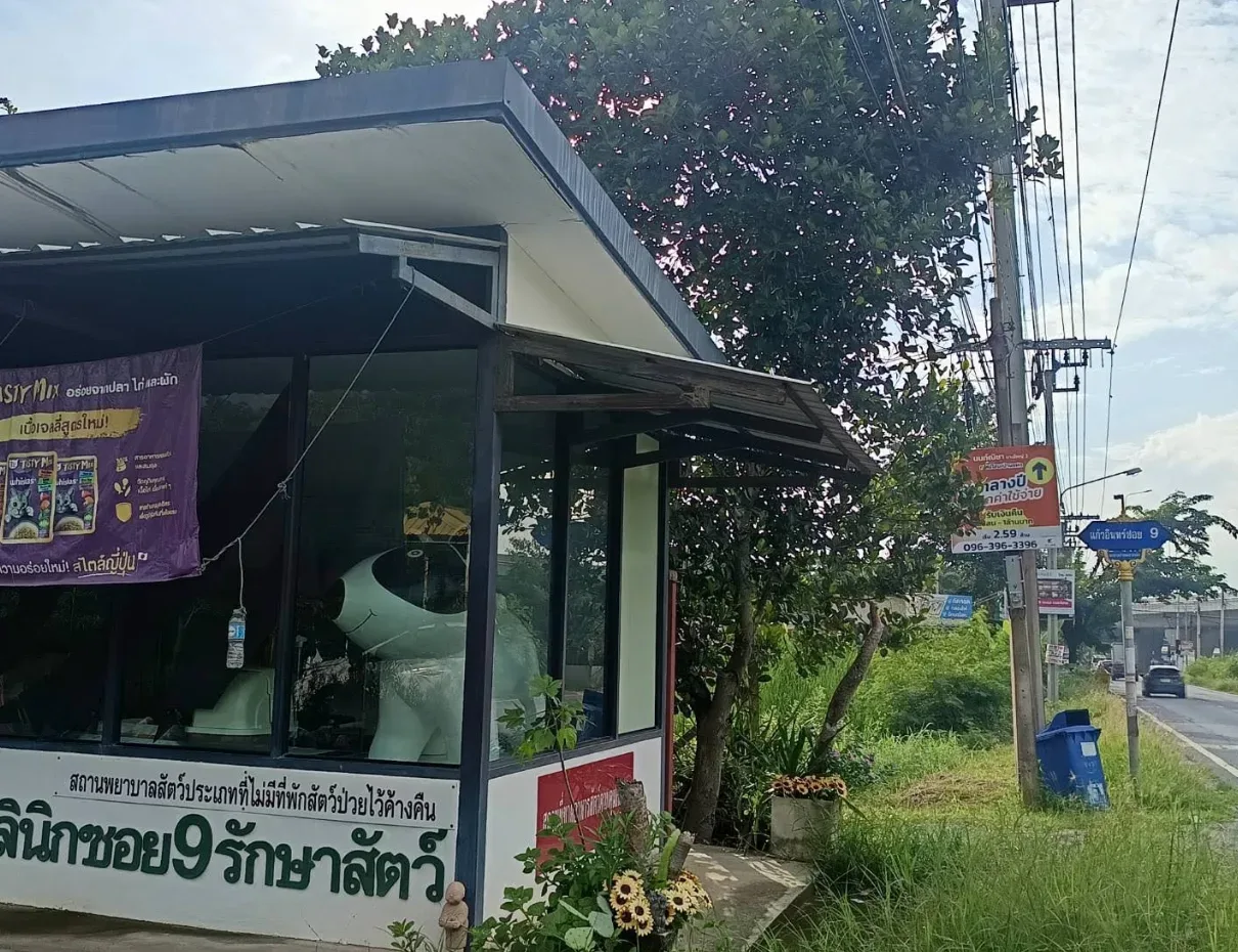 คลินิกซอย 9 รักษาสัตว์